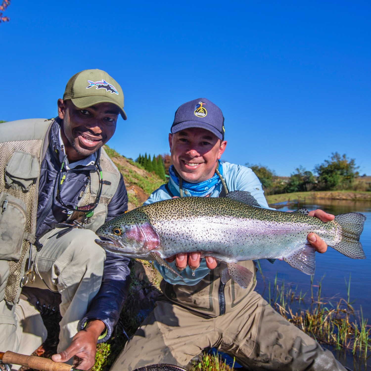 LM-fishing